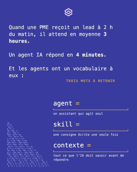 Freestyle 5